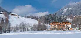 Hotel ALMRAUSCH Hotel ALMRAUSCH