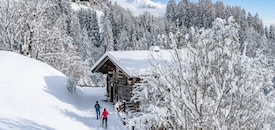 Nationalpark Hohe Tauern